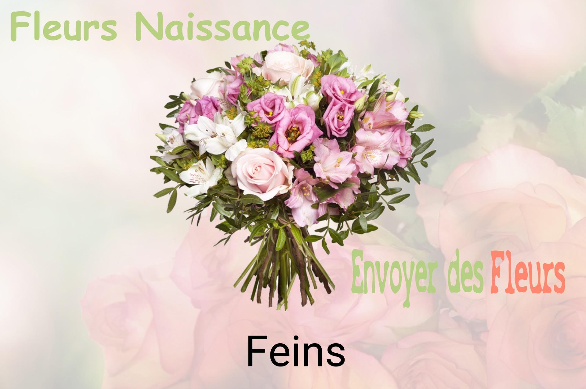 Bouquet de fleurs de naissance livré à Feins