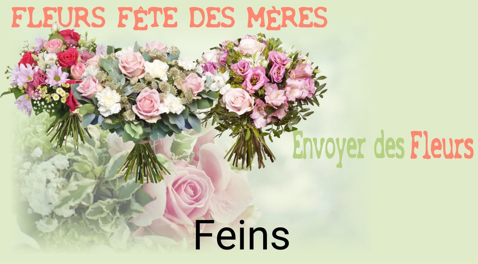 Bouquet de Fête des Mères livré à Feins